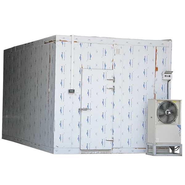 
 Нержавеющая сталь Солнечная Коммерческая холодильная камера Для Хранения Мороженого/морозильная камера  