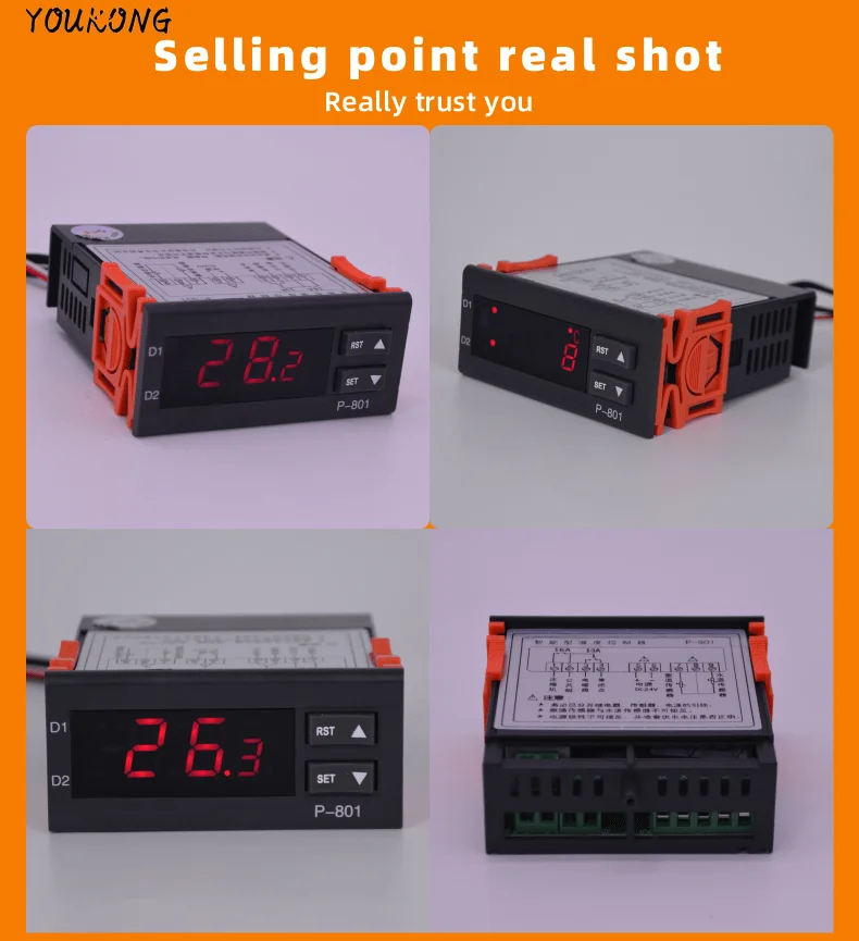 P-801220v (7).png