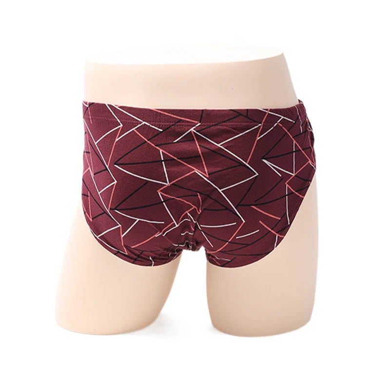 men underwear84-02 (43)