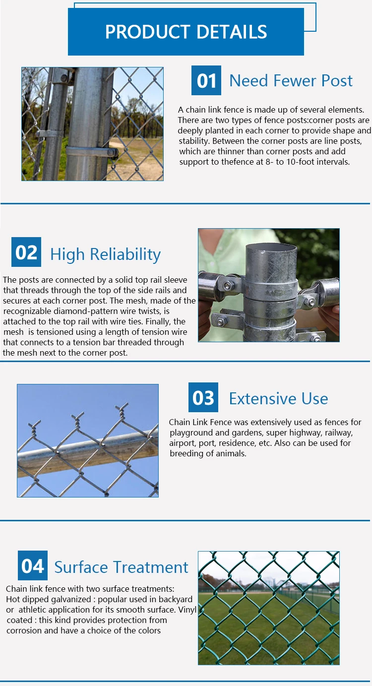 (3)