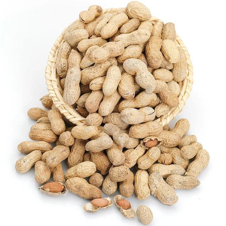 peanut (2).jpg