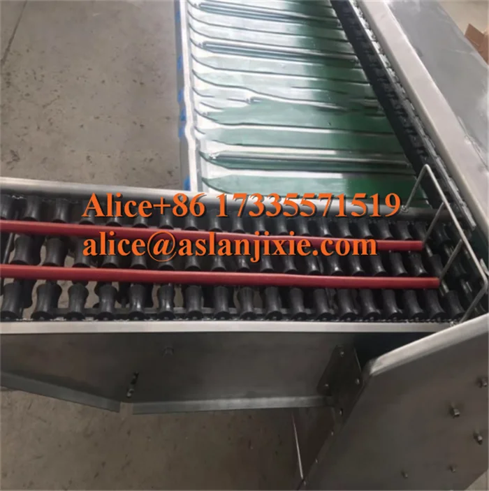 egg grading machine28.png