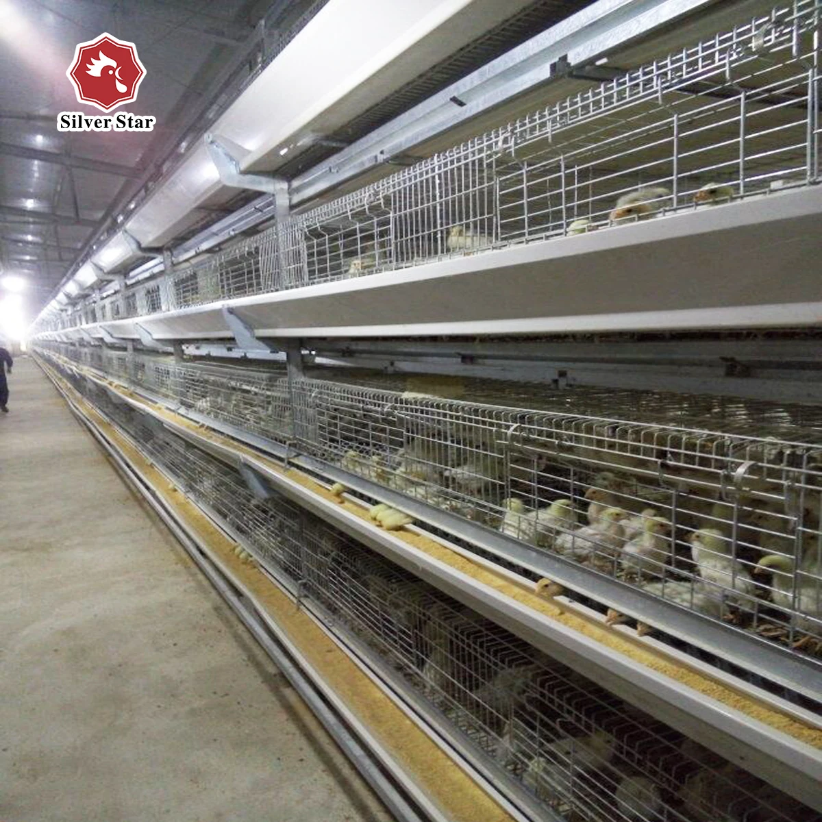 Poultry breeding chicken breeding material broiler cages for broiler chicken