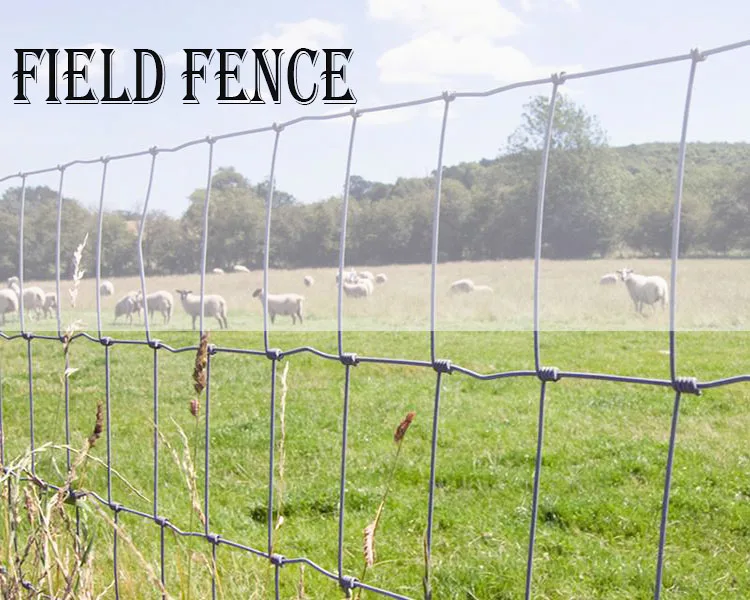 grassland-fence