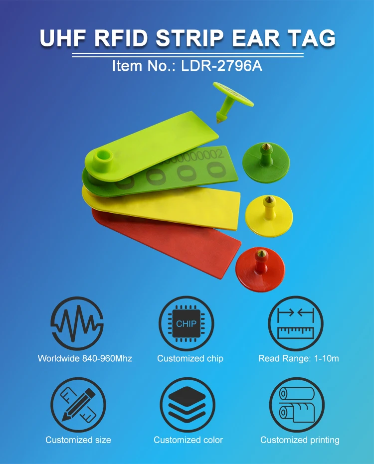 LDR-2796A-_01