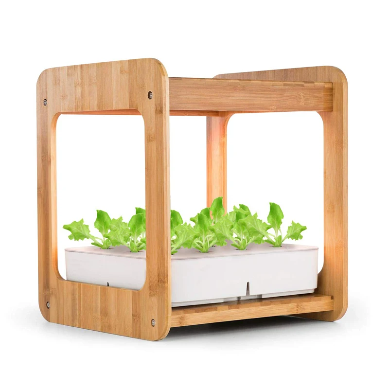 Shenzhen EXW контейнер для выращивания салата с гидропонной листовой овощей для дома