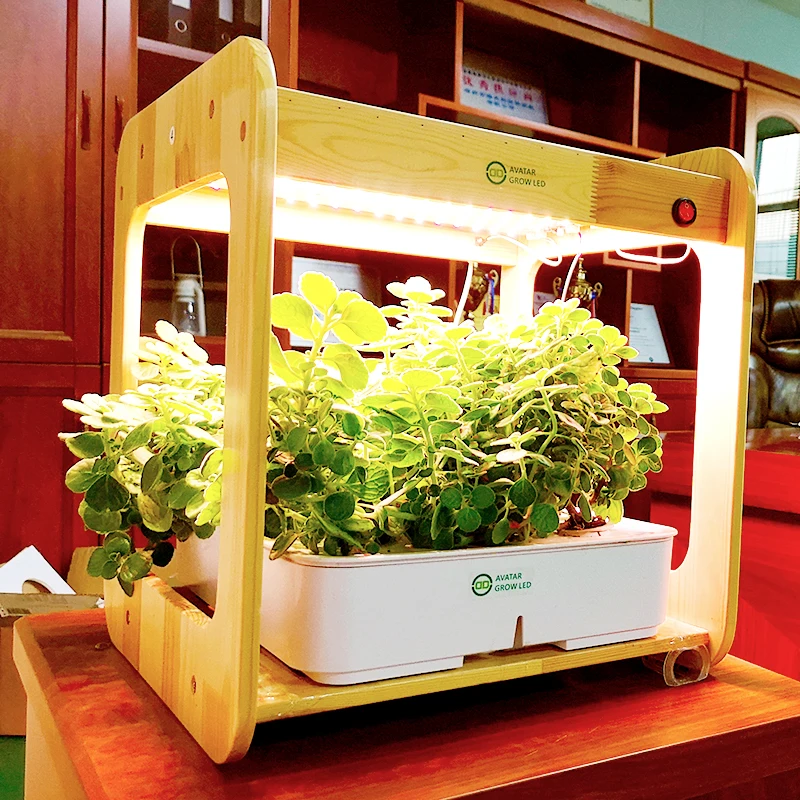 Shenzhen EXW контейнер для выращивания салата с гидропонной листовой овощей для дома