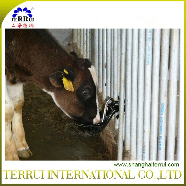 
Сельскохозяйственное оборудование поилка для животных скота чугунного литья от CN;SHG 5,2 кг крупного рогатого скота живой 10 летами гарантированности 