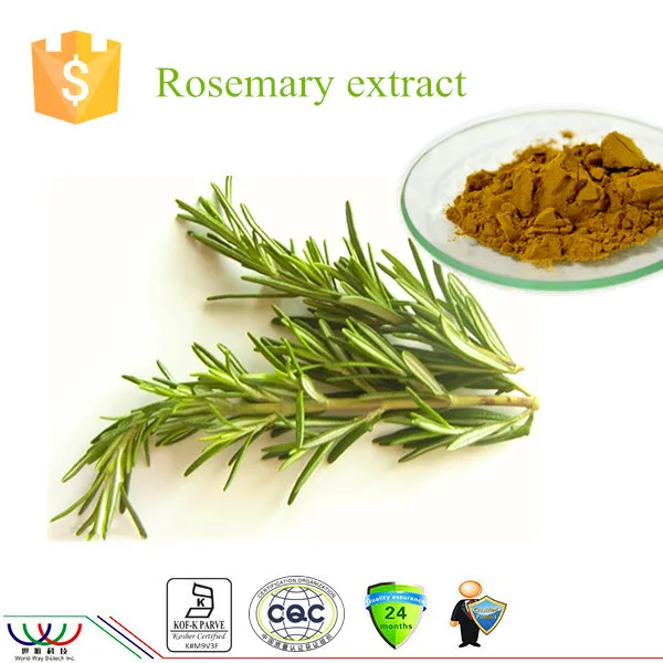 Rosemary extract 1