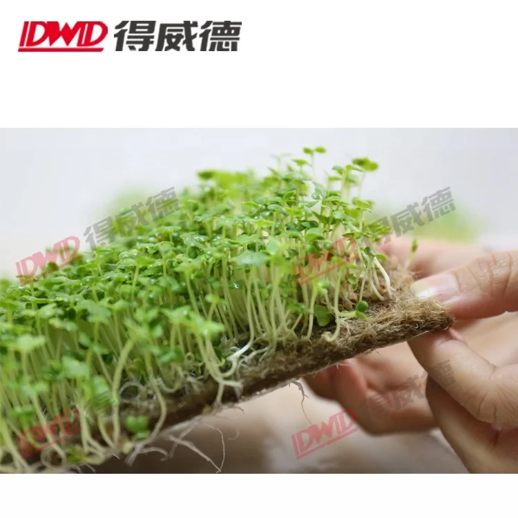 
 Экологичный биоразлагаемый поднос для выращивания семян из натурального джутового волокна, поднос для выращивания Microgreens  