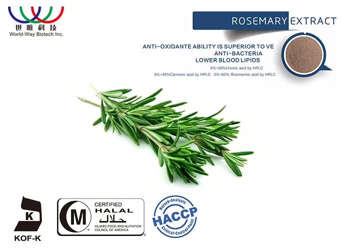 Rosemary Extract