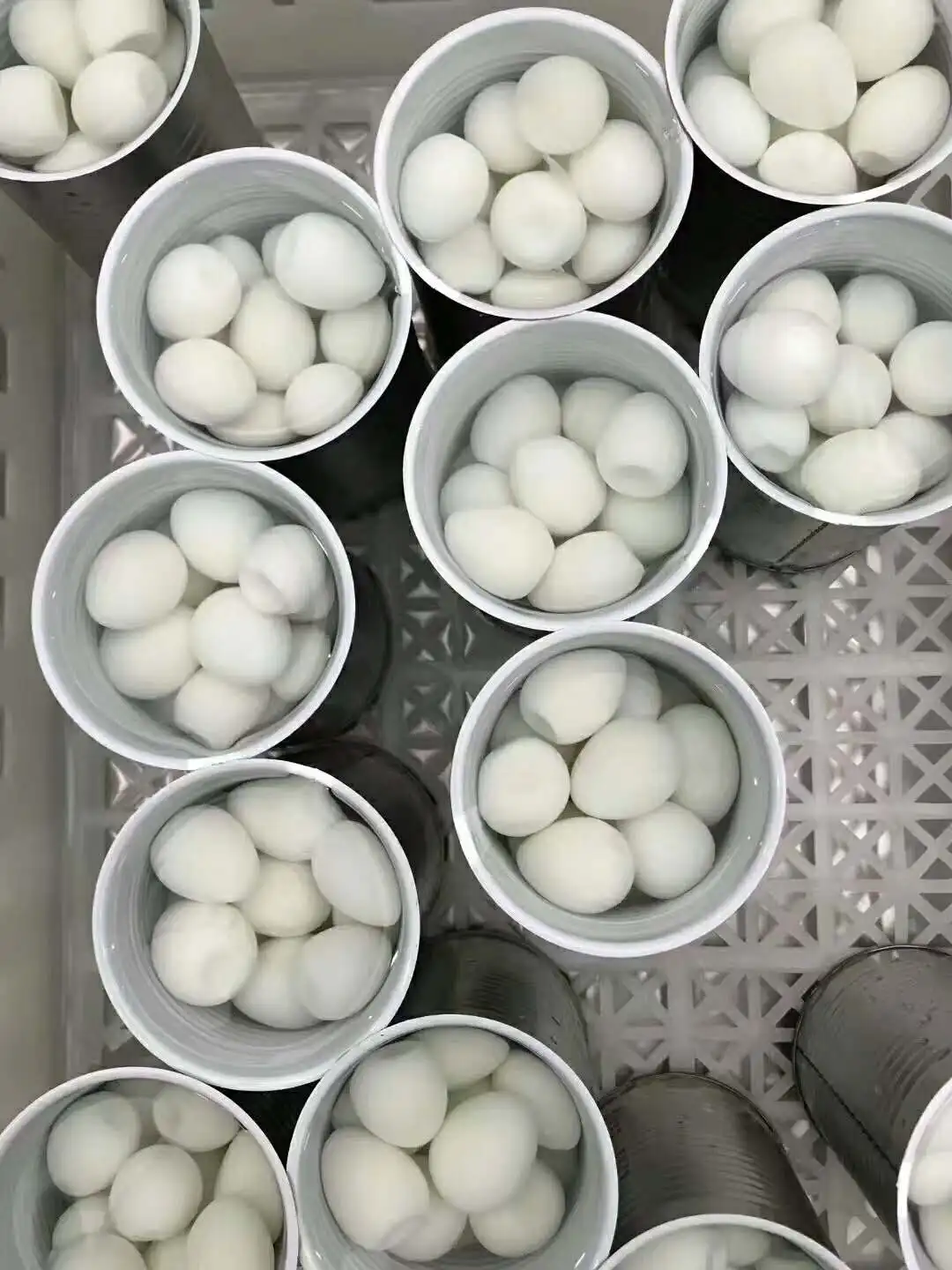 
Консервированные перепеловые яйца в рассоле по конкурентоспособной цене Whatsapp:+ 86 189 5405 8084 