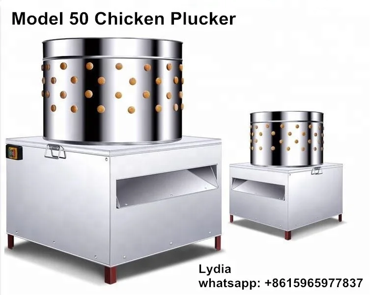 
 Модель 65, машина для выщипывания курицы с сертификатом CE и лучшим качеством (lydia WhatsApp: + 8615965977837)  
