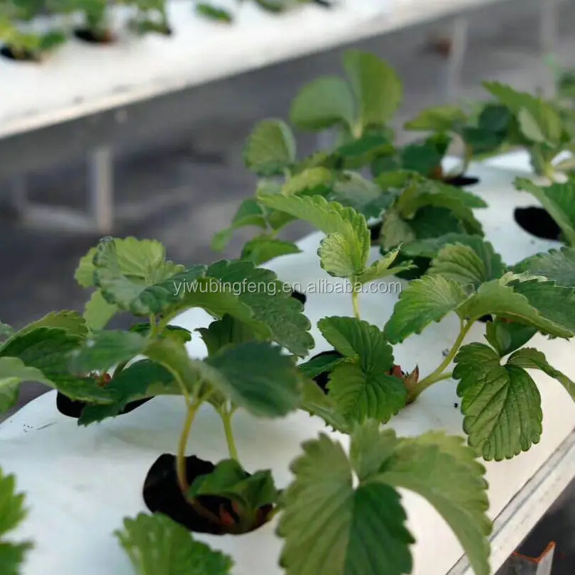 Полиэтиленовый черный квадратный пластиковый пакет для выращивания детских цветов и растений для гидропоники