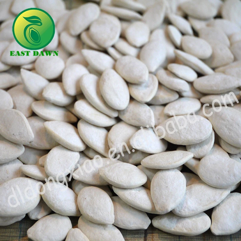 
Roasted and salted snow white pumpkin seeds bulk snow white pumpkin seeds 