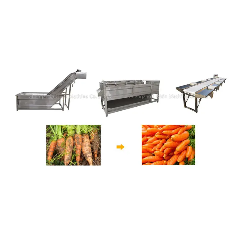 carrot processing line
