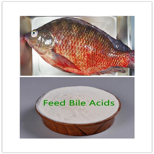 
Купить кормовую добавку желчные кислоты добавки корма улучшить рыбы рост производительности усвоить рыбное блюдо 