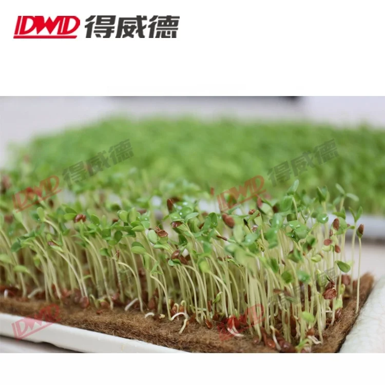 
 Экологичный биоразлагаемый поднос для выращивания семян из натурального джутового волокна, поднос для выращивания Microgreens  
