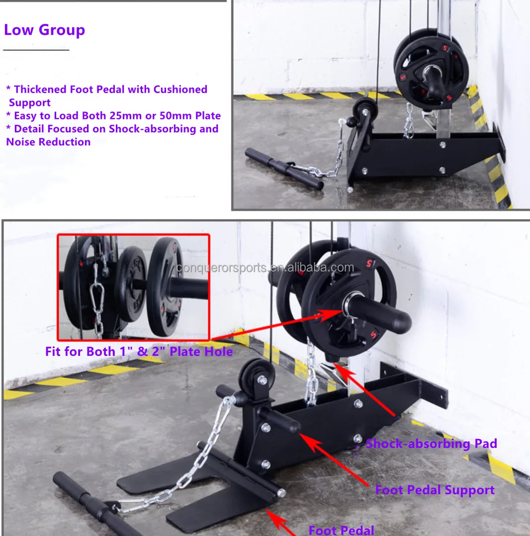LLT01-C.jpg