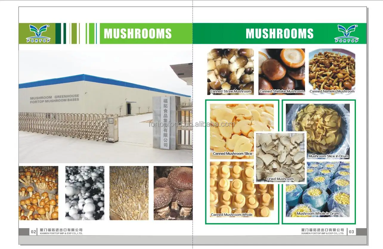 mushroom base.jpg