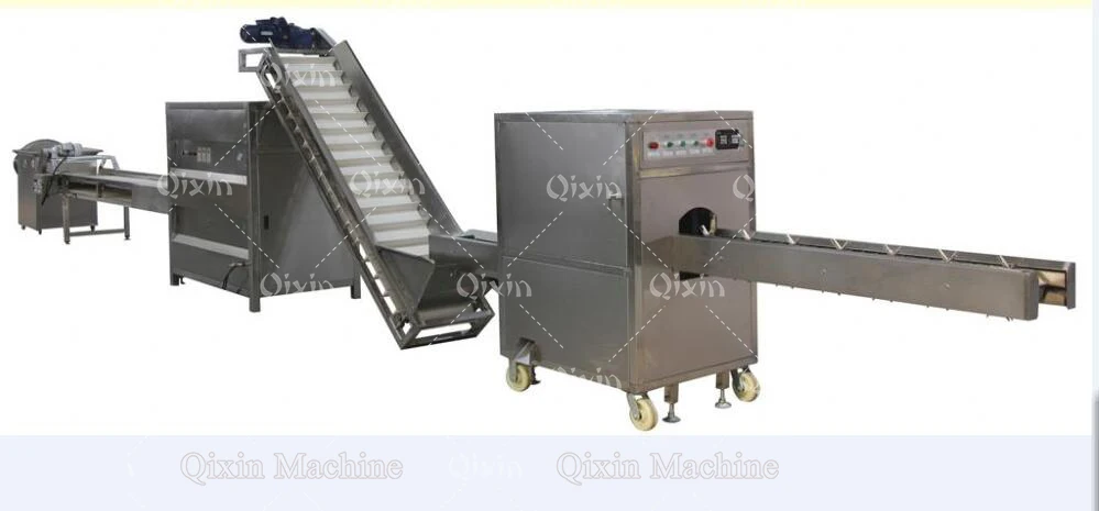 onion processing line