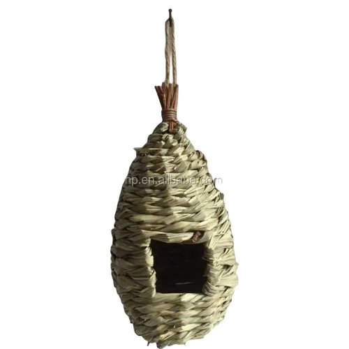 dd (2).png