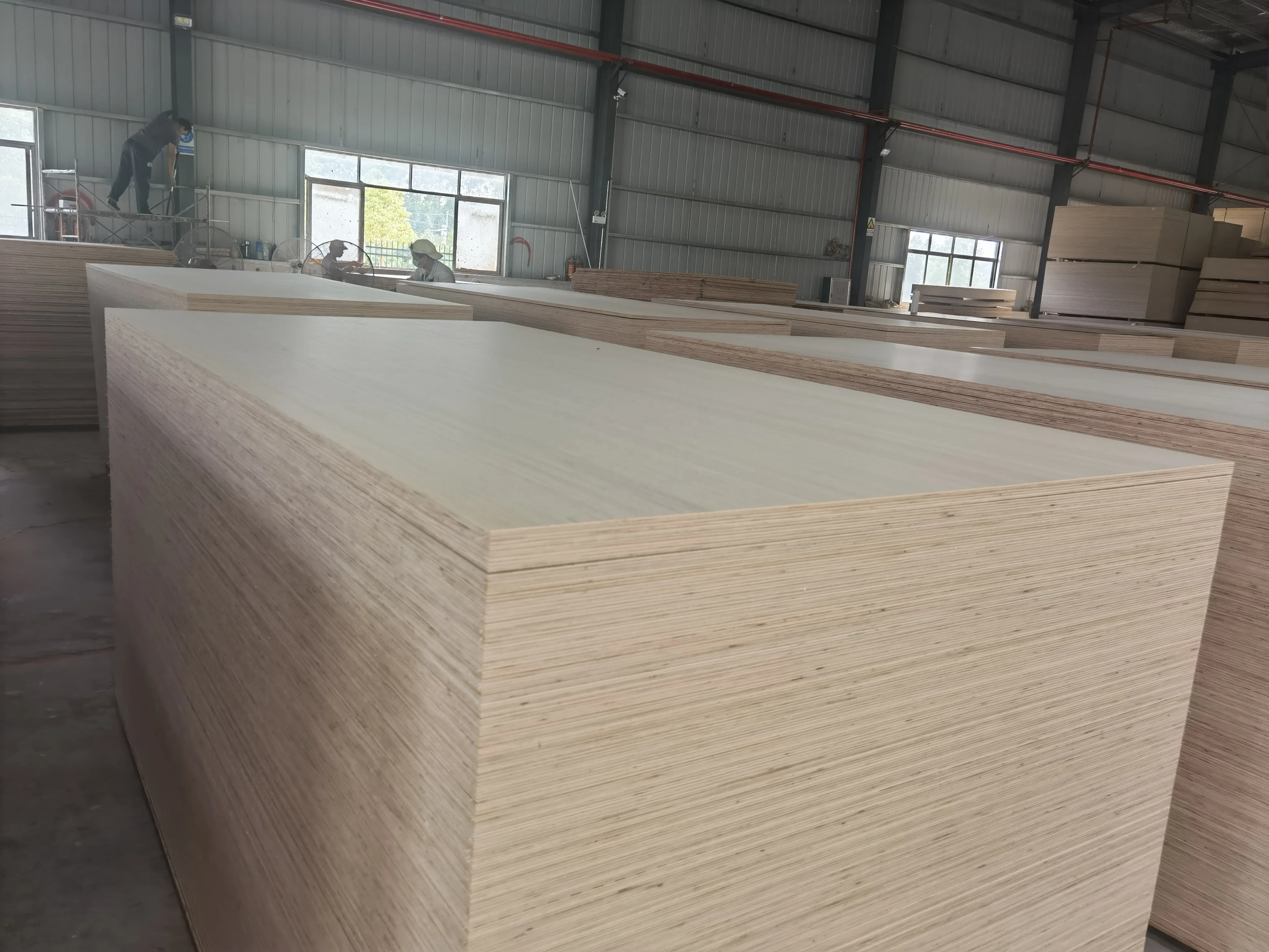 fbdstgweg
