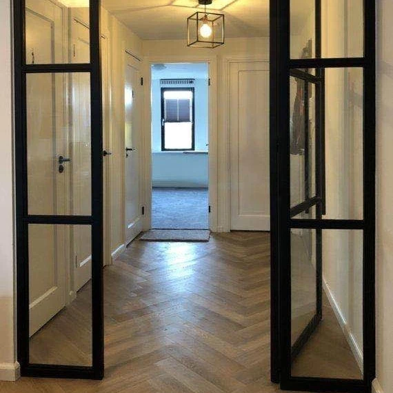 Hotian новый дизайн, железная двойная стеклянная дверь для входных дверей