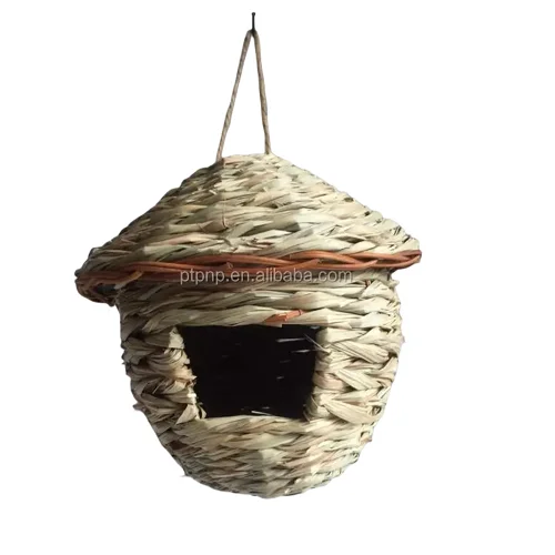 dd (4).png