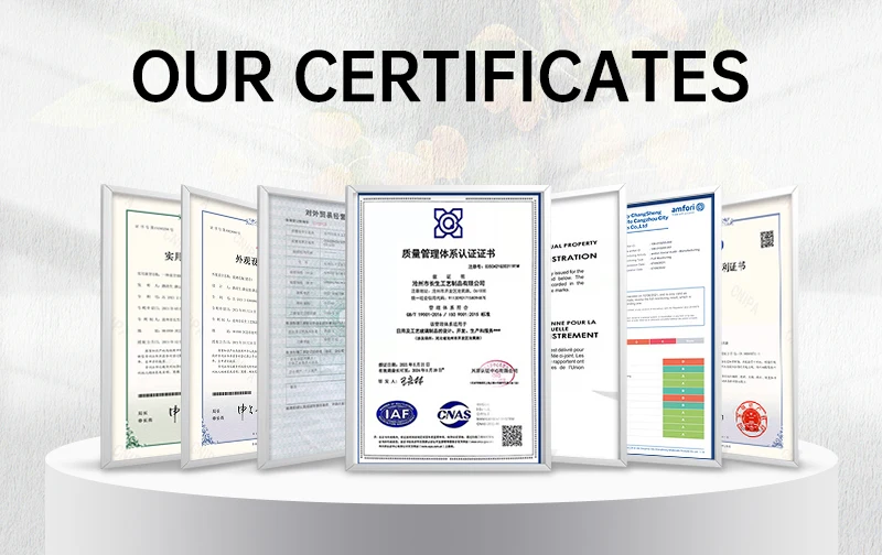 COMPANY CERTIFICATE.jpg