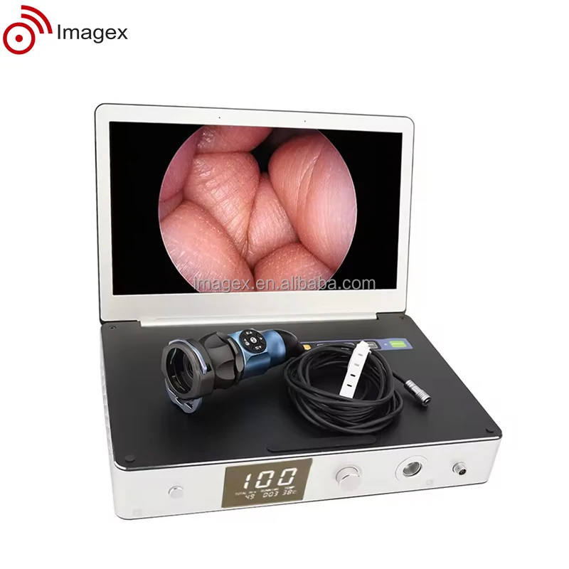 linkview2.jpg