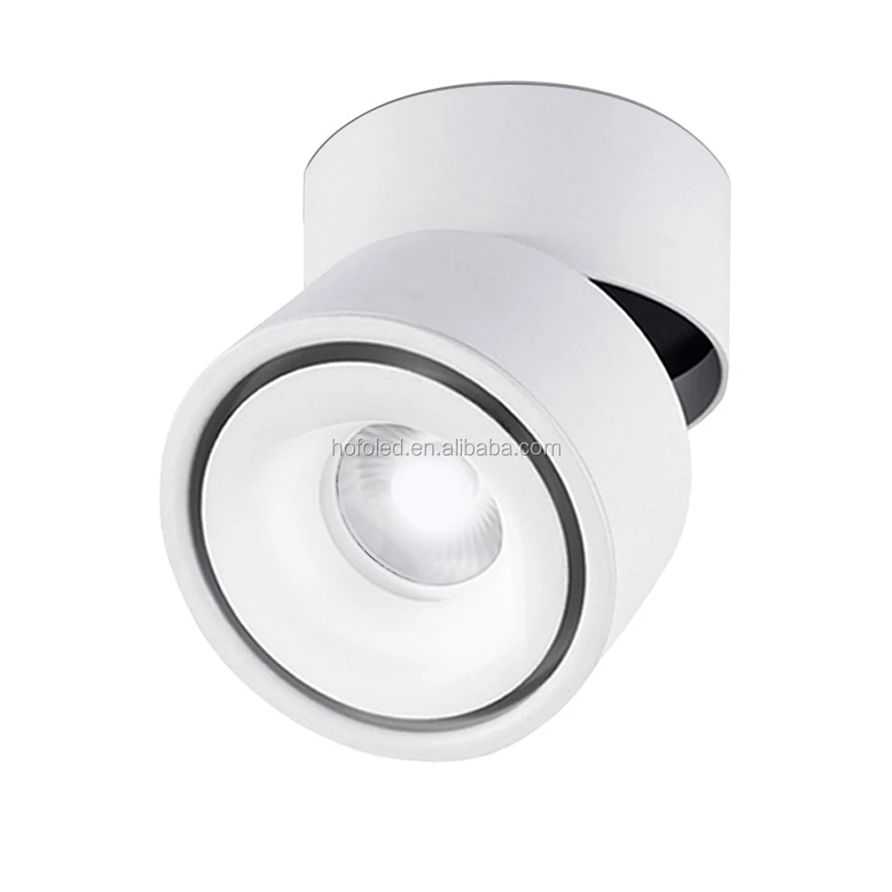 Высокий люмен коммерческий внутренний IP44 12W COB Светодиодный точечный Трековый светильник, регулируемый светодиодный потолочный светильник