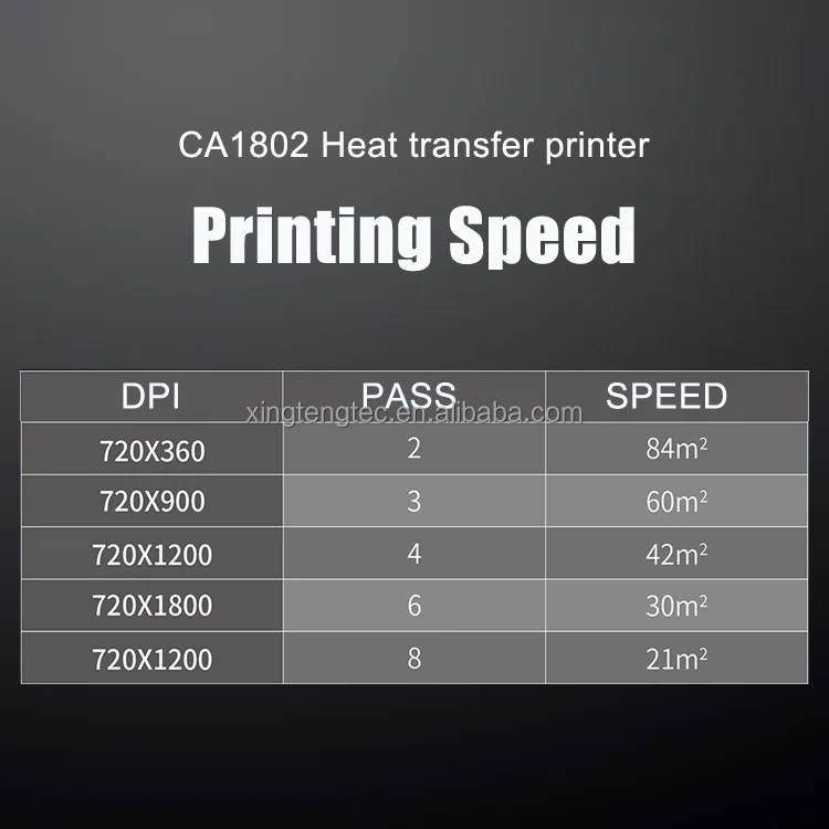 Speed .jpg