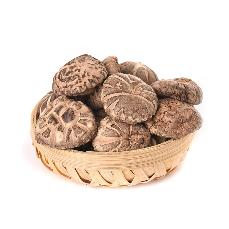 
Оптовая продажа, высочайший уровень, высушенные цветочные грибы шиитаке Lentinus edodes, цена 