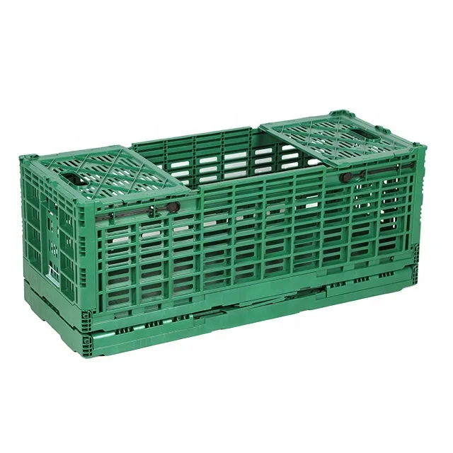 
 Пластиковые складные ящики из ПЭНД для транспортировки свежих жасминовых цветов  