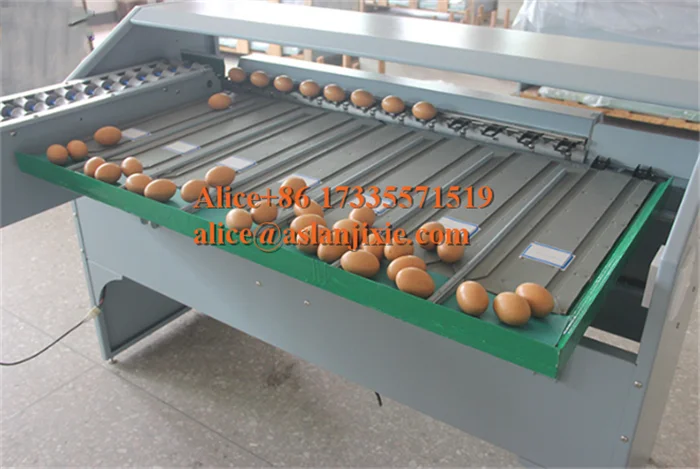 egg grading machine25.png