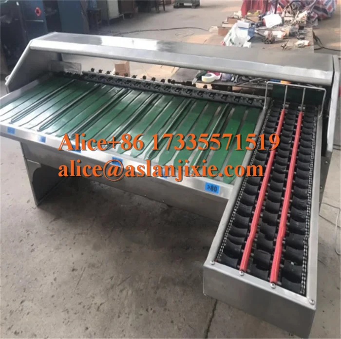 egg grading machine26.png