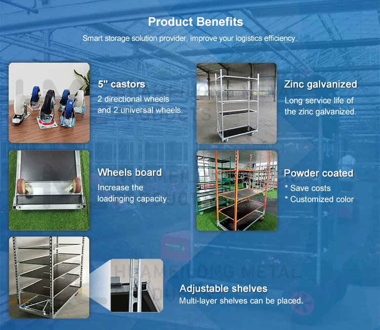 details of plant trolley