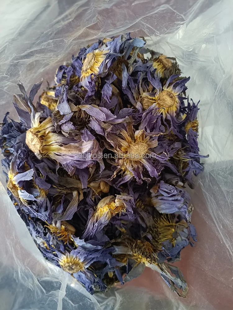 750.png