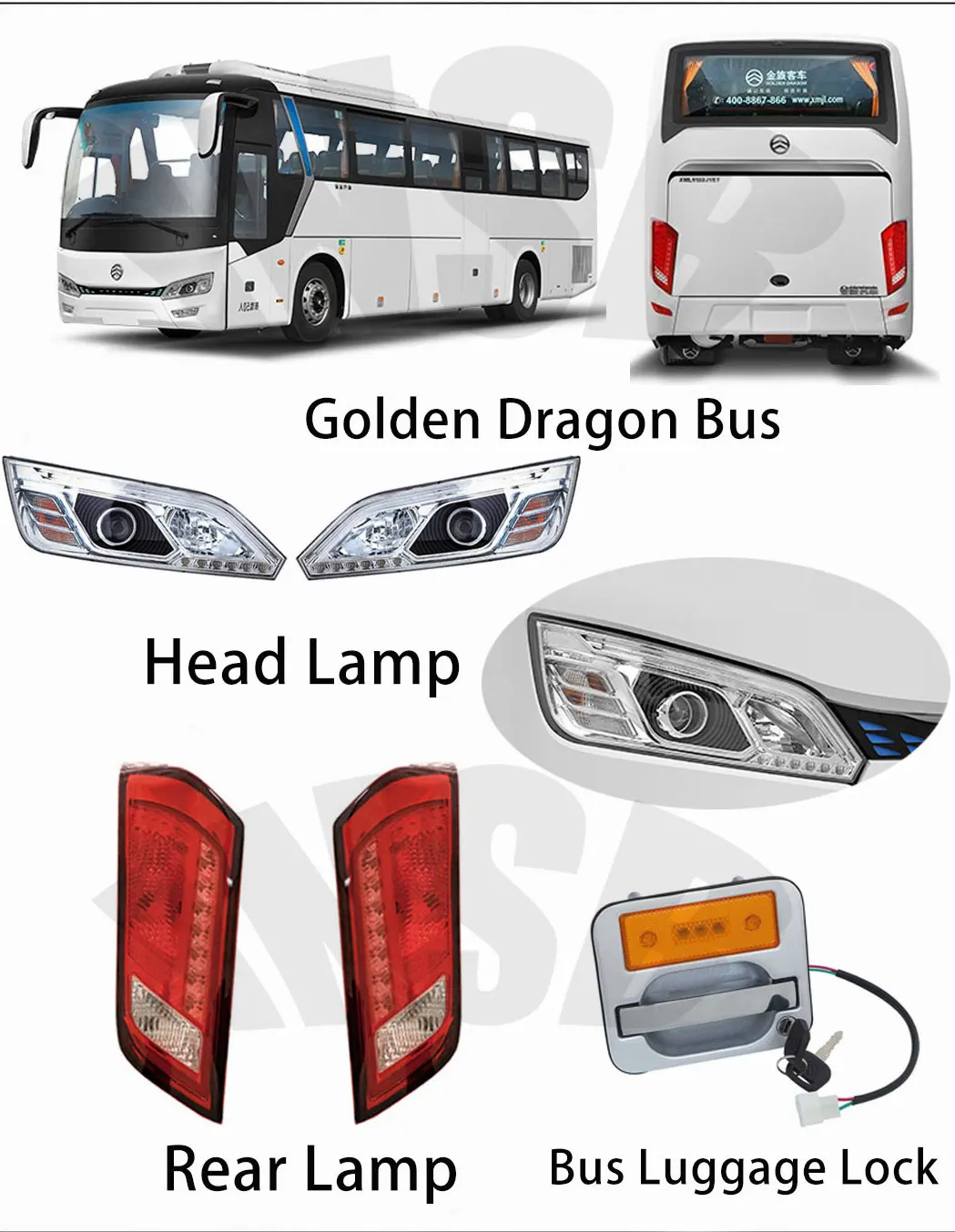 golden-dragon.jpg