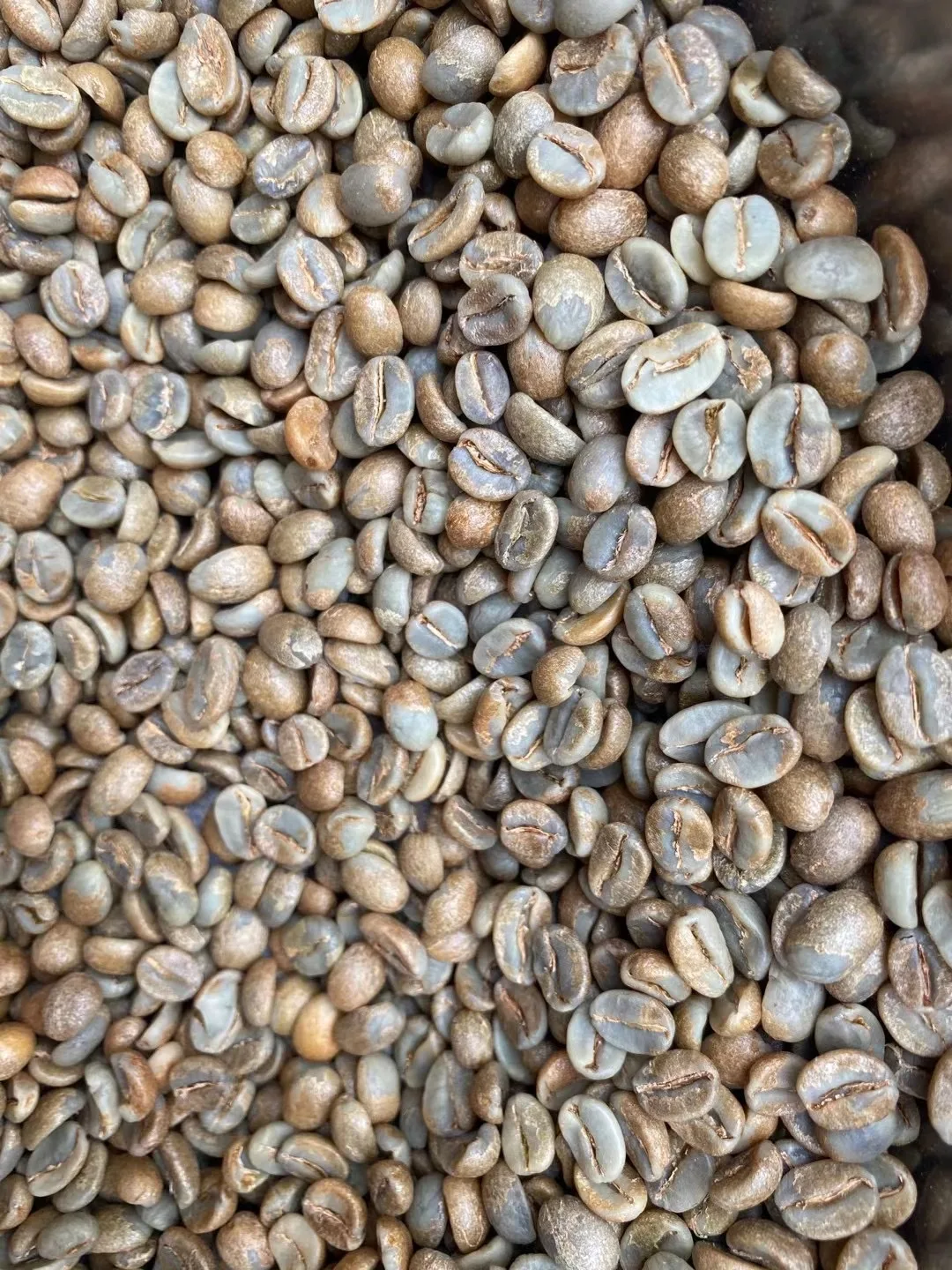 Зеленые кофейные зерна Arabica, одного происхождения, высота 2000 метров или выше