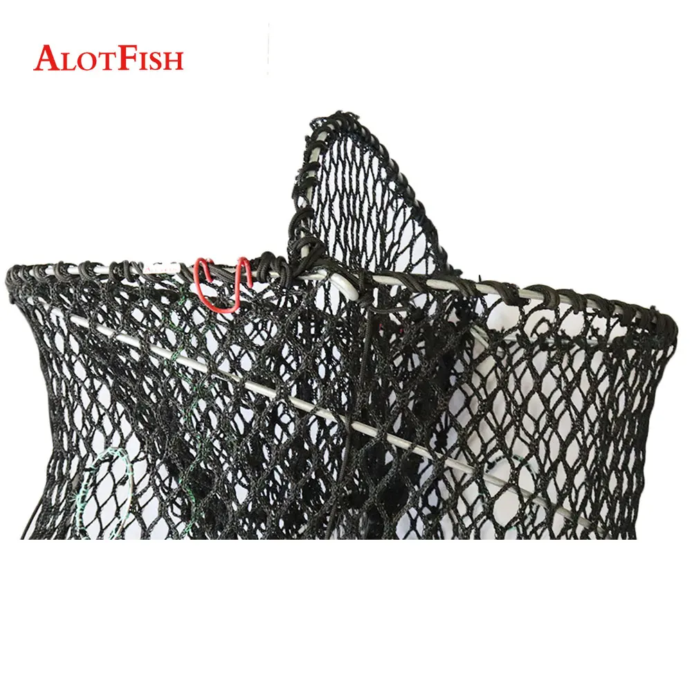 Alotfish-spring-trap19