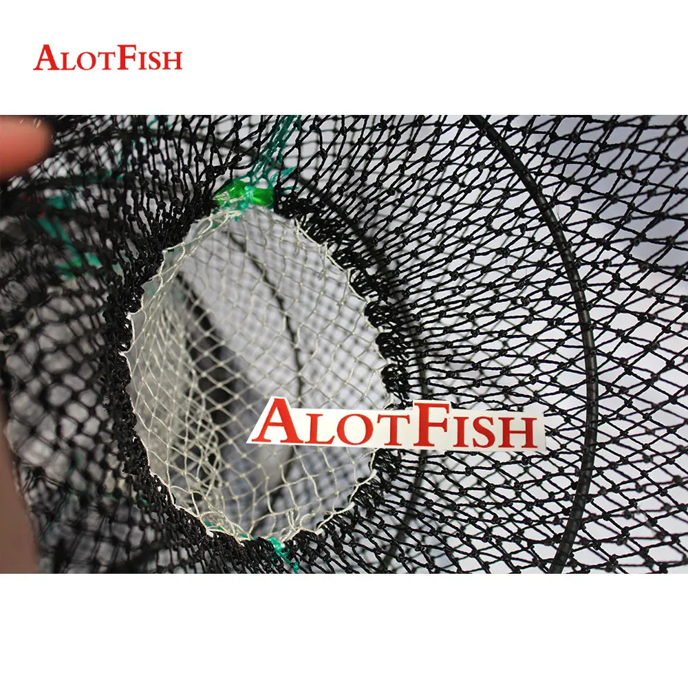Alotfish-spring-trap10