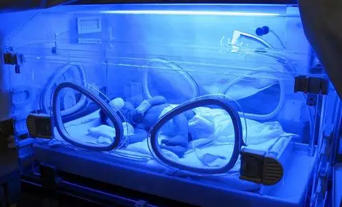 YP100A, инкубатор для новорожденных, инкубатор для новорожденных животных