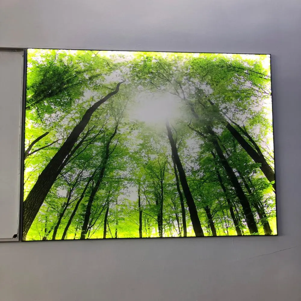 ceiling (6).jpg