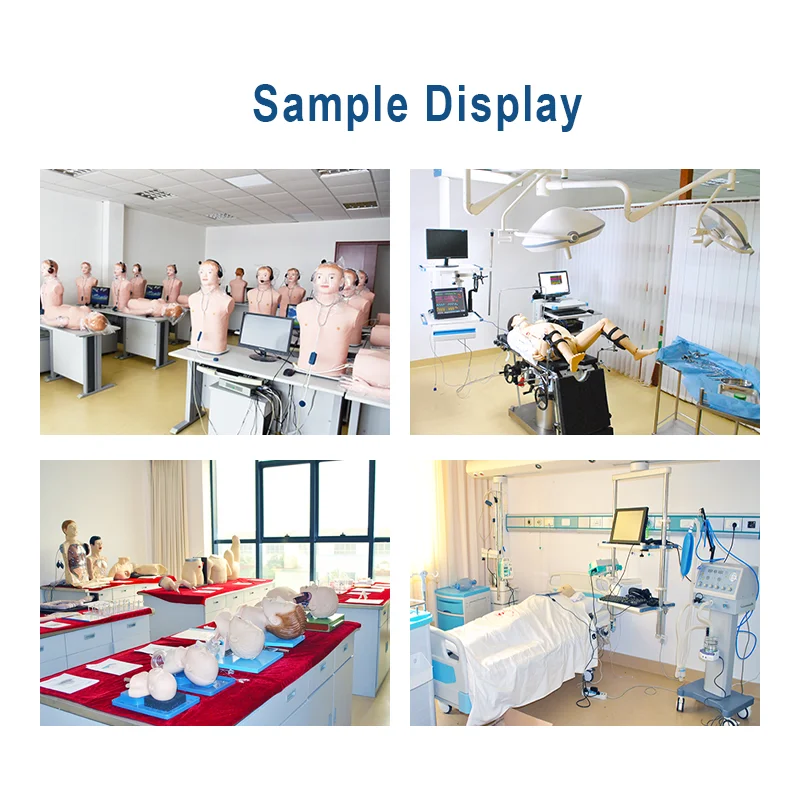 Sample Display.png