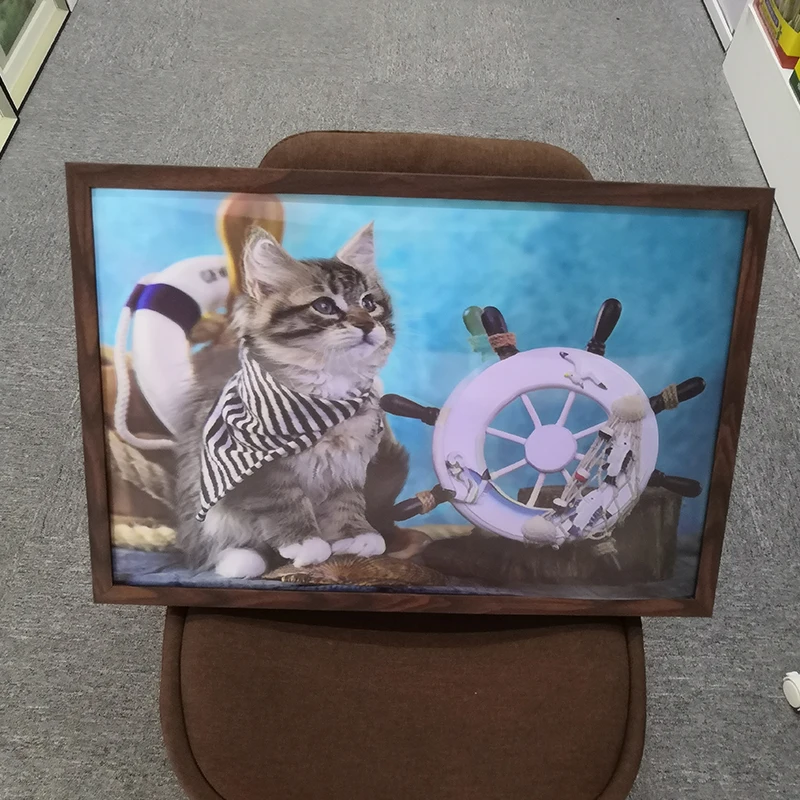 40x60cm 3D picture