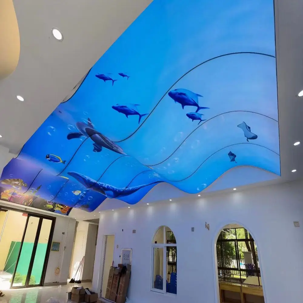 ceiling (4).jpg