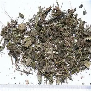 
 Китайский травяной чай Salvia officinalis L Salvia japonica Thunb.  