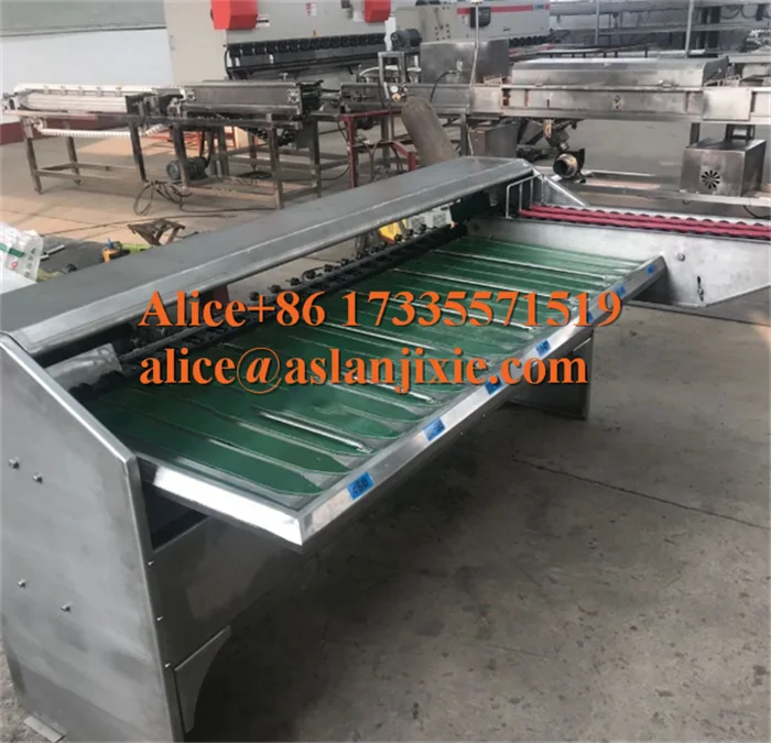 egg grading machine29.png
